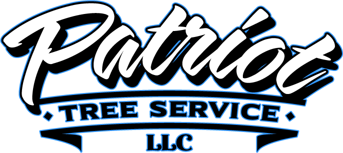 Patriot Tree Service in the Hampton Roads area